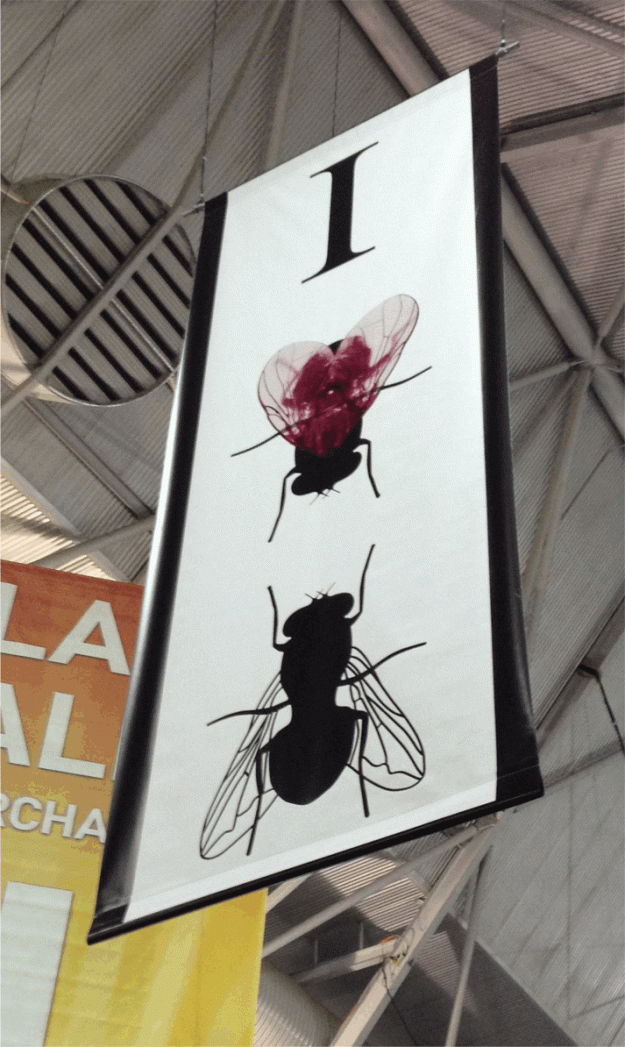 Professional double-sided vinyl banner by Printing Brisbane