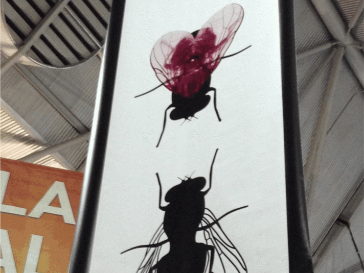 Professional double-sided vinyl banner by Printing Brisbane