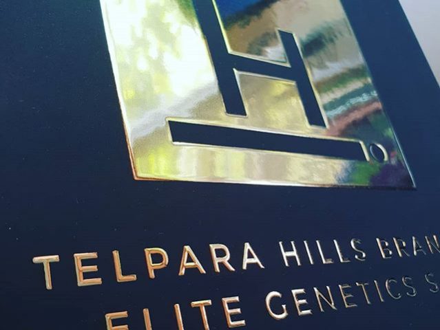 book cover foil printing brisbane