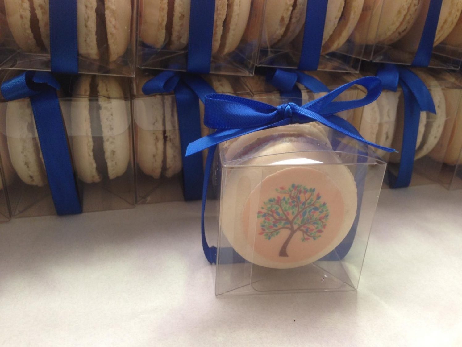 printed macarons for wedding bonbonniere